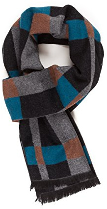 Scarf for Men Reversible Elegant Classic Cashmere Feel Scarves for Fall Winter (TA04-1)