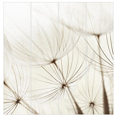 Bilderwelten Schiebegardinen Sanfte Gräser - 4 Flächenvorhänge Deckenhalterung 4X 250x60cm