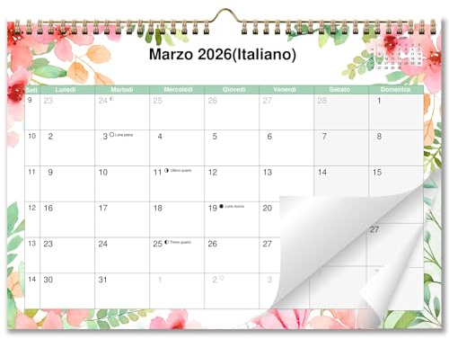 AEYAKA Calendario da parete 2026, calendario mensile da appendere con festività, fasi lunari, 29 x 41 cm, in Italiano