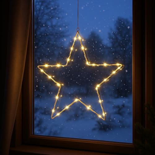 Dekorativ lampa, LED, utomhus, stjärna, ljusstjärna, julstjärna med 30 varmvita lysdioder, belysning, av metall, med timerfunktion, juldekoration för utomhusdekoration och inredning, vit, Ø 30 cm