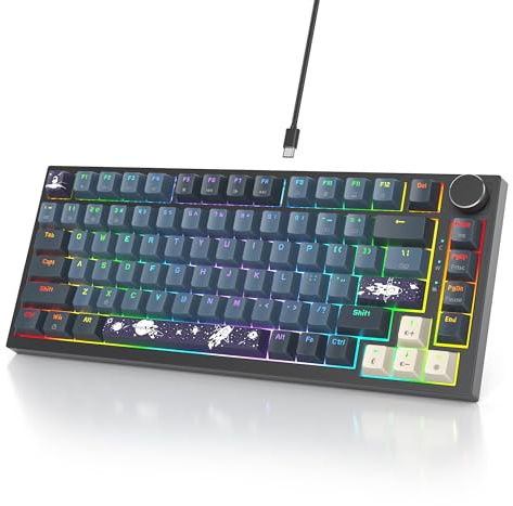 SOLIDEE Mekaniskt Tangentbord, Kabelanslutet, 75 Procents Hotswappable, Gasket Struktur, RGB-bakgrundsbelyst, 82 Tangenter NKRO-kompakt Tangentbord Med Kontrollknopp (Apollo)