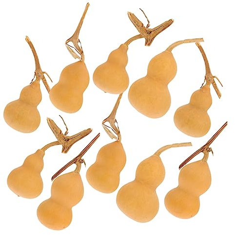 HAPINARY 10 Pezzi Calabash Adorns Ornamenti Di Zucca Artigianato Di Zucca Da Tavolo Casa Mini