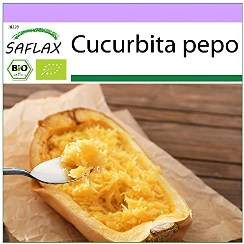 SAFLAX - BIO - Courge - Spaghetti - 5 graines - Cucurbita pepo