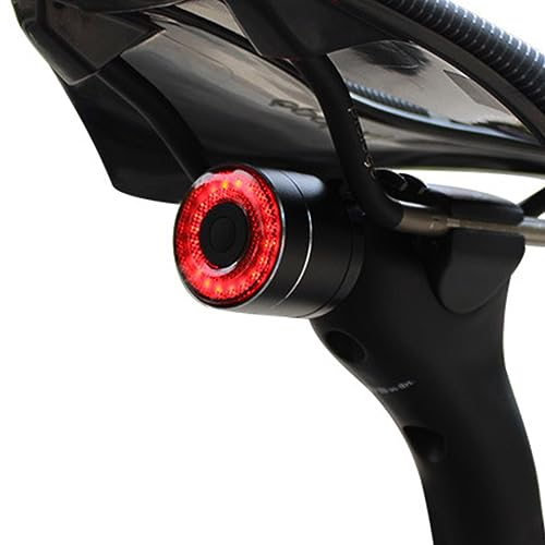 Fanale Posteriore per Bicicletta, Ricarica USB Fanale Posteriore Freno Intelligente,Luci Posteriori Intelligenti con Rilevamento Della Luce,Impermeabile e Luminosità Regolabile