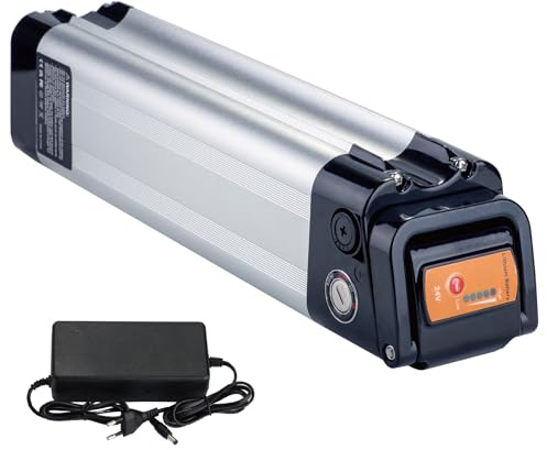 Batteria Ebike 24V 12Ah di ricambio per Phylion Zhenlong/ZL07010-F Trio MiFa Rex, XH259-10J batteria per bicicletta elettrica (24V 12Ah)