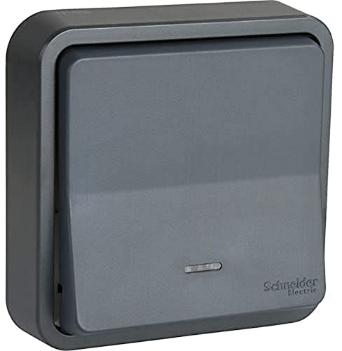 Schneider Electric SC5SHN0212459 Bouton Poussoir lumineux mureva Styl, 250 V, Gris