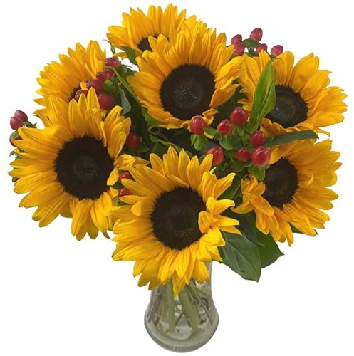 Ramo de Girasoles Amarillos DECOALIVE Bouquet de 10 Flores de Girasol Frescas y Naturales