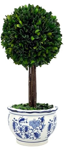 Galt International Árbol topiario de bola de boj real preservado de 15.7 pulgadas en maceta de porcelana redonda pintada a mano azul y blanco, maceta verde para decoración del hogar (topiario de 15.7