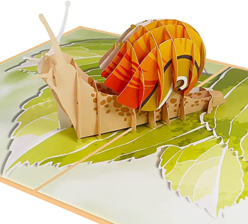 Sweetpopup® 3D Geburtstagskarte – Pop Up Karte zum Geburtstag für Frauen | Glückwunschkarte & Grußkarte für Freundin, Mama, Muttertag, Danksagung oder Genesung | Klappkarte Schnecke im Garten, 019