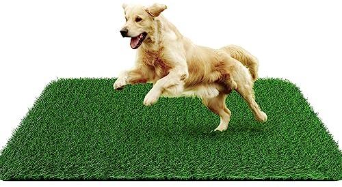 Fake Grass Pad for Dogs Potty Training Artificial Turf, 40x28in