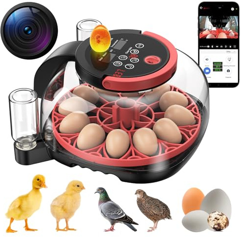 ANIERY 12 Egg Incubator WiFi with Camera, Humidity and Temperature Control, APP Notification, Egg Candler, Automatic Egg Turner, Smart Incubators for Hatching Eggs, Chicken, Duck, Pigeon and Quail