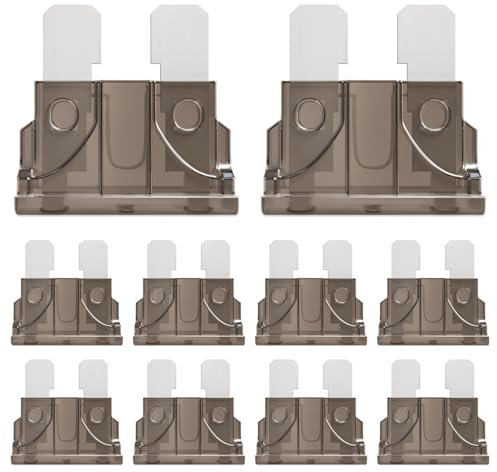 ALLECIN 50Pcs 2A Standard Car Fuses 2Amp Automotive Blade Fuse 2Ampere Auto Fusibles for RV Truck Motorcycle