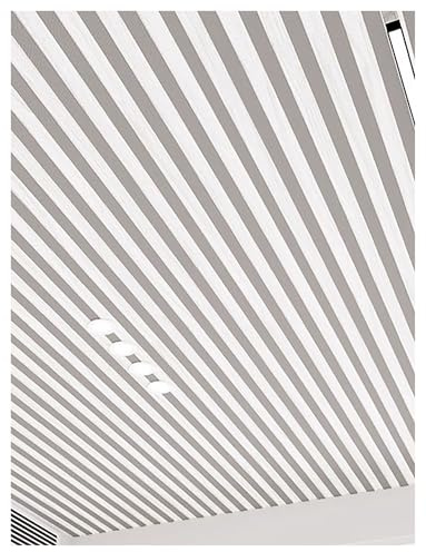 3D Self-Adhesive Ceiling Tiles & Wall Panels, Waterproof PVC Cladding for Ceiling and Wall Decor in Living Room, Bedroom, Office(Gray,4-Pack)