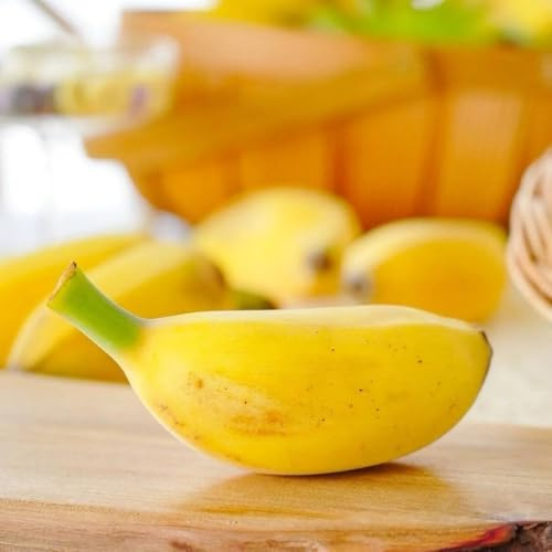 semi di banana di banana, fresca, rustiche per balcone resistenti del banano, rare, interno, rustiche 100pcs
