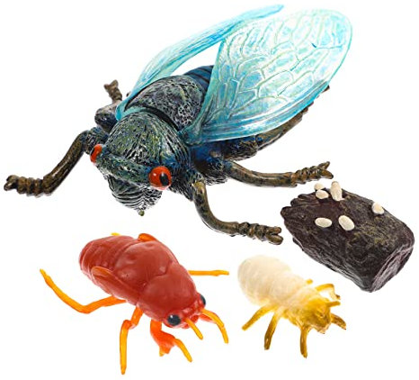 GOOHOCHY Simulations-zikadenmodell Wachstumszyklus Spielzeug Für Kinder Ausstellungsmodelle Kunstzikaden-dekore Satz