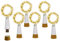 NeoJoy Rechargeable Wine Bottle Lights, LED Cork Lights USB Fairy String Lights Parties Decoration, Warm White