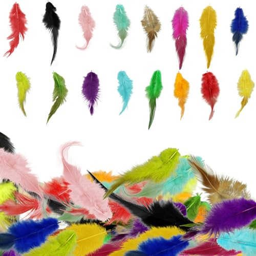 800Pcs Colorful Feathers for Crafting, Craft Feathers Bulk Colored Feathers, 16 Colors Craft Feathers Assorted Colors for Kids Handmade DIY Crafts, Wedding Party Dream Catcher Feathers Decorations