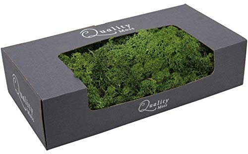 Finnland - Moos zum Basteln - vorgereinigt - präpariert & gefärbt - Luftgetrocknet - Bastelmoos Finnlandmoos (Moosgrün, 500g)