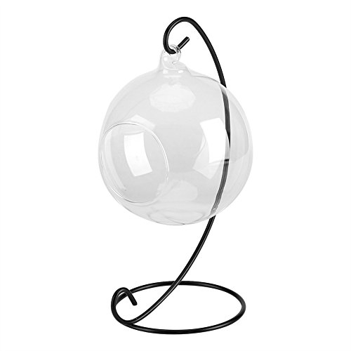 Zerodis Hängevase Pflanzengefäße Glas Garden Flasche Vase mit Eisen-Rahmen für Pflanzen Blumen Sukkulente Hausdekoration Transparent