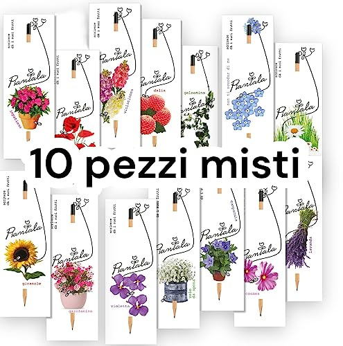 value pack RISPARMIO (10 fiori MIX)