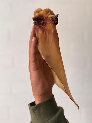 10 XL Extra Large Buffalo Beef Ears for Dogs 100% Natural Treats Chews Long Lasting 20-25 cms in Resealable Bag