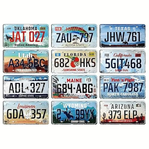 ware-direkt USA Kennzeichen Set 12 Stück – License Plates Replika Auto Schild Nummernschild US Staaten – Blechschilder Vintage Look – California Texas Florida New York Arizona – KFZ Schild USA