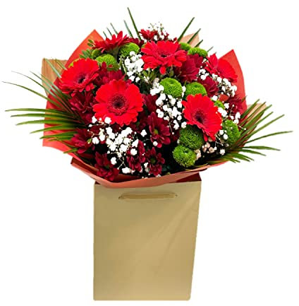 Joy Of Life Bouquet – Fresh Red Gerberas, Chrysanthemums, Cheerful celebrations Floral Arrangement Gift for Birthday, Anniversary, Get-Well, Thank You, Wedding, and any Occasions