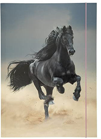 folia 69001 - Sammelmappe A3 Basic Black Horse, aus stabilem Karton mit Gummiband