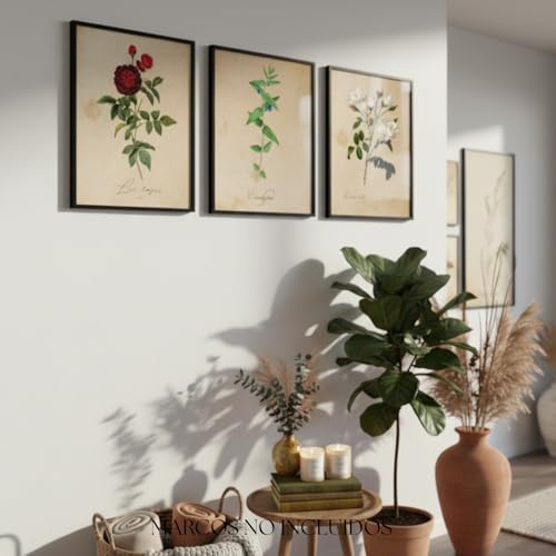 Nacnic 3 Vintage Blumen Postern. Mittelmeer Posterset mit botanischen Bildern in neutralen Tönen. Pflanzen Poster. Natur, Flora, Kräuterkunde. A4 ohne Rahmen.