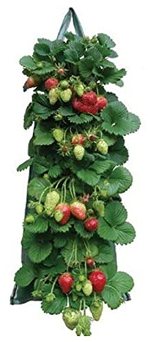 Kaxenig Erdbeere Pflanzsack Pflanzbeutel, Gartensäcke Mit Pflanzlöchern, Pflanzen Tasche Pflanzbeutel Atmungsaktive Stoff-Blumentöpfe, Für Gemüse Und Blumen