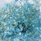 300 Blaue Schleierkraut Samen, Gypsophila Paniculata, Mehrjährig & Winterhart, Die Blüten Sind Winzig Klein, Aber Sehr Dicht, Blumensamen für Garten Freiland und Balkon