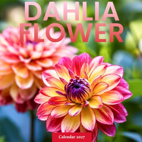 Dahlia Calendar 2027: Seasonal Flower Photography