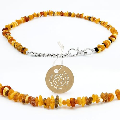 Amberta Bernstein Halsband für Hunde und Katzen | Bernsteinkette für Hunde | Halsband Hund: 35-40 cm