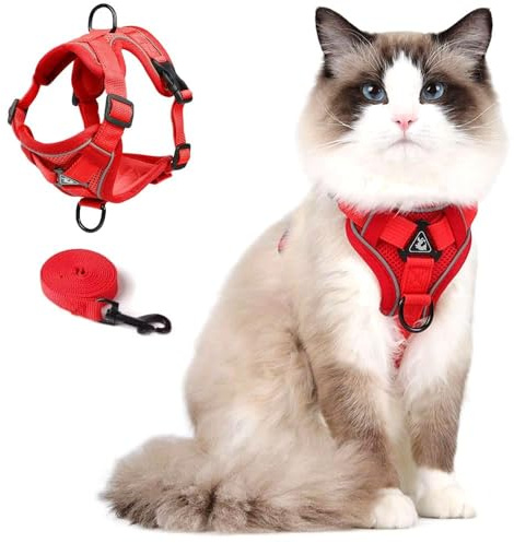 Cat Harness and Leash Set, Upgraded Escape Proof Adjustable Kitten Vest with Lead for Small Cat Outdoor Walking, Soft Breathable Mesh Jacket with Reflective Strips for Dark Night (S, Fresh Red)