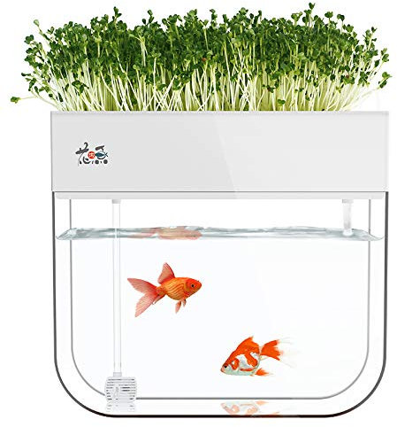 Hydroponic Garden Aquaponic Fish Tank Plants Growing System Self-Cleaning Seed Sprouter Tray