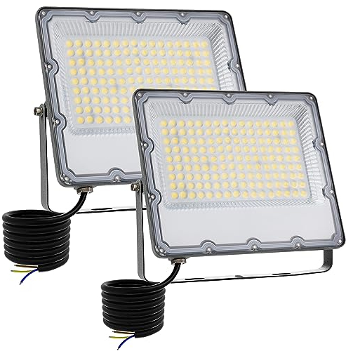 MEEKBOS 2 Stück LED Strahler Außen 100W, Superhell 8910LM LED Fluter, 6500K Kaltweiß IP66 Wasserfest Aussenstrahler für Repository,Hinterhof,Garten