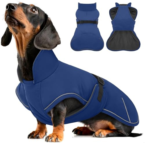 Hjyokuso Abrigo para perros salchicha L, abrigo de invierno impermeable a prueba de viento para perros salchicha, chaqueta para perros grandes para perros grandes, abrigo para perros de invierno con