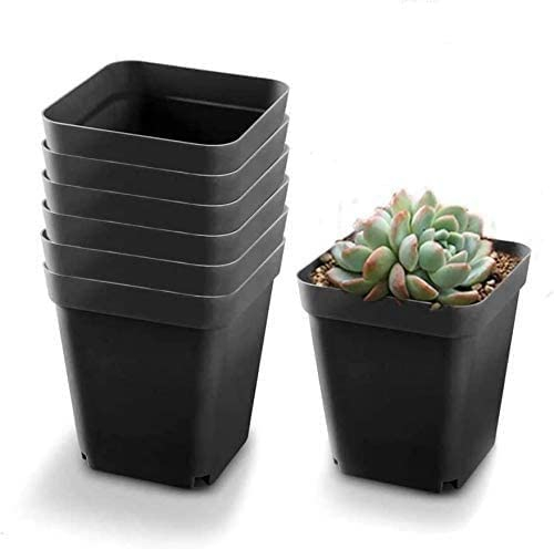 DOITOOL Godet pour Semis Noir 50Pcs - Carré Pots de Plantes en Plastique-Petit Pot de Fleur Interieur Exterieur (Noir/ 6x6x6.5cm)