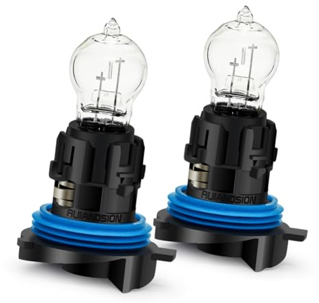 Ruiandsion PH24W Dimljus Dagsljus Blå Varm Vit 12V 24W Halogen Icke-polariserad Ersättning för Bil Backljus 2-pack