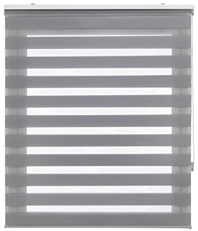 Blindecor Lira doppelrollo - duo rollo tag und nacht Silbergrau - 170 x 180 cm (Breite x Länge) | Stoffgröße 167 x 175 cm | Fensterrollo zebra