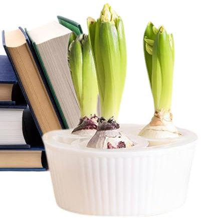 Generico Fioriera - Contenitore per bulbi di giacinto a 3 fori, vaso di fiori per interni trasparente, vaso moderno per la coltivazione delle radici | Giardinieri Appartamento Ufficio Insegnanti Anz