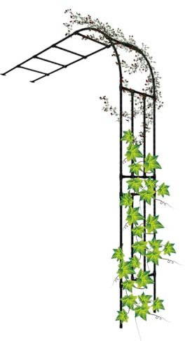 Gartenbogen Rosenbogen Halbbogen Rankhilfe wetterfest, für zur Unterstützung von Rosen, Hinterhof Rasen Patio Innenhof W60xH240cm W90xH240cm W120xH240cm ( Farbe : Schwarz , Größe : W60xH240x40cm )