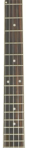 Chord | 5 String Banjo Set of Stainless Steel Strings | Regular Light 09-11-13-20-09