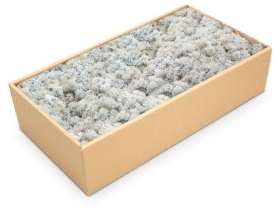 NaDeco Islandmoos in Natur und 30 weiteren Farben zur Auswahl | Deko-Moos | Rentier-Moos | Reendier Moos | Bastel-Moos | Dekomoos | Moos-Deko, Farbe:Eisblau