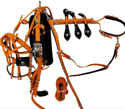 Aces Equine Quick Hitch PVC häst trotting sele orange svart säker design Shetland storlek