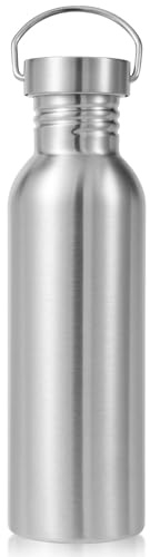 Volhoply Icke-isolerad 780 ml vattenflaska i rostfritt stål återanvändbar vattenflaska med handtag, BPA-fri och plastfri 304 vattenflaska för camping, vandrare, cyklister