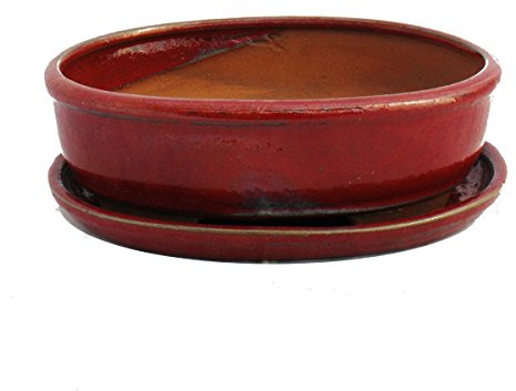Exotenherz - Bol à bonsaï avec soucoupe taille 8 - rouge - ovale - modèle O3 - L 21 cm - l 16 cm - H 6 cm