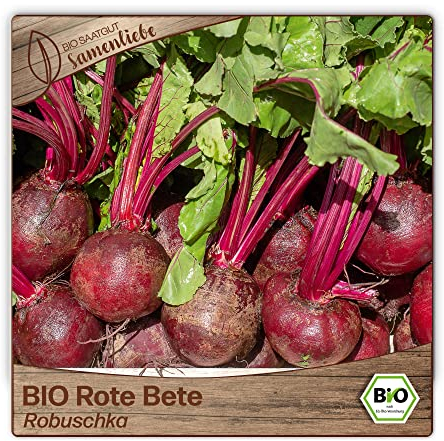 Samenliebe BIO Rote Bete Samen Robuschka fruchtig süße Beete runde Rüben rot 100 Samen samenfestes Gemüse Saatgut für Gewächshaus Freiland und Balkon BIO Gemüsesamen