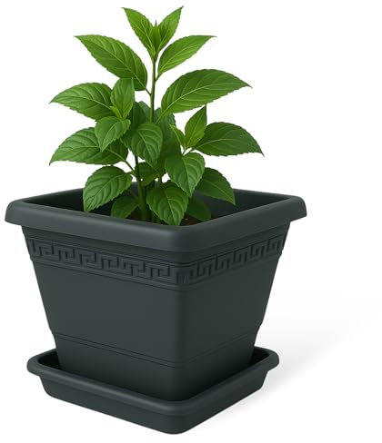 TECHZOCO Macetero con Plato, Maceta Cuadrada clásica de plástico con Plato, Tiesto para Plantas, Fabricado en Polipropileno, 17 cm Altura x 20 cm Ancho, Antracita
