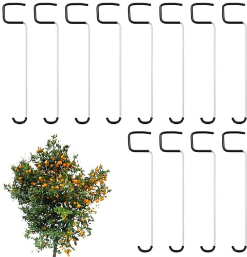 Épandeur de branches d'arbres fruitiers, cintreuse de branches de fruits, épandeur de branches de , simple et efficace, durable et vertical, 26 x 5 x 1 cm, parfait pour cerisier et poirier